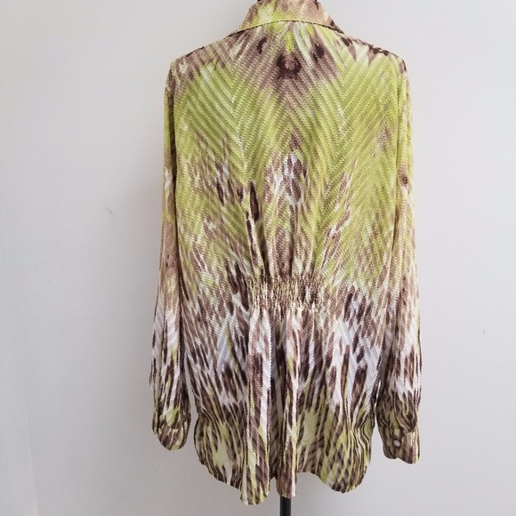 Tanjay Green, Brown Button Down Textured Sheer Top - Picture 4 of 6